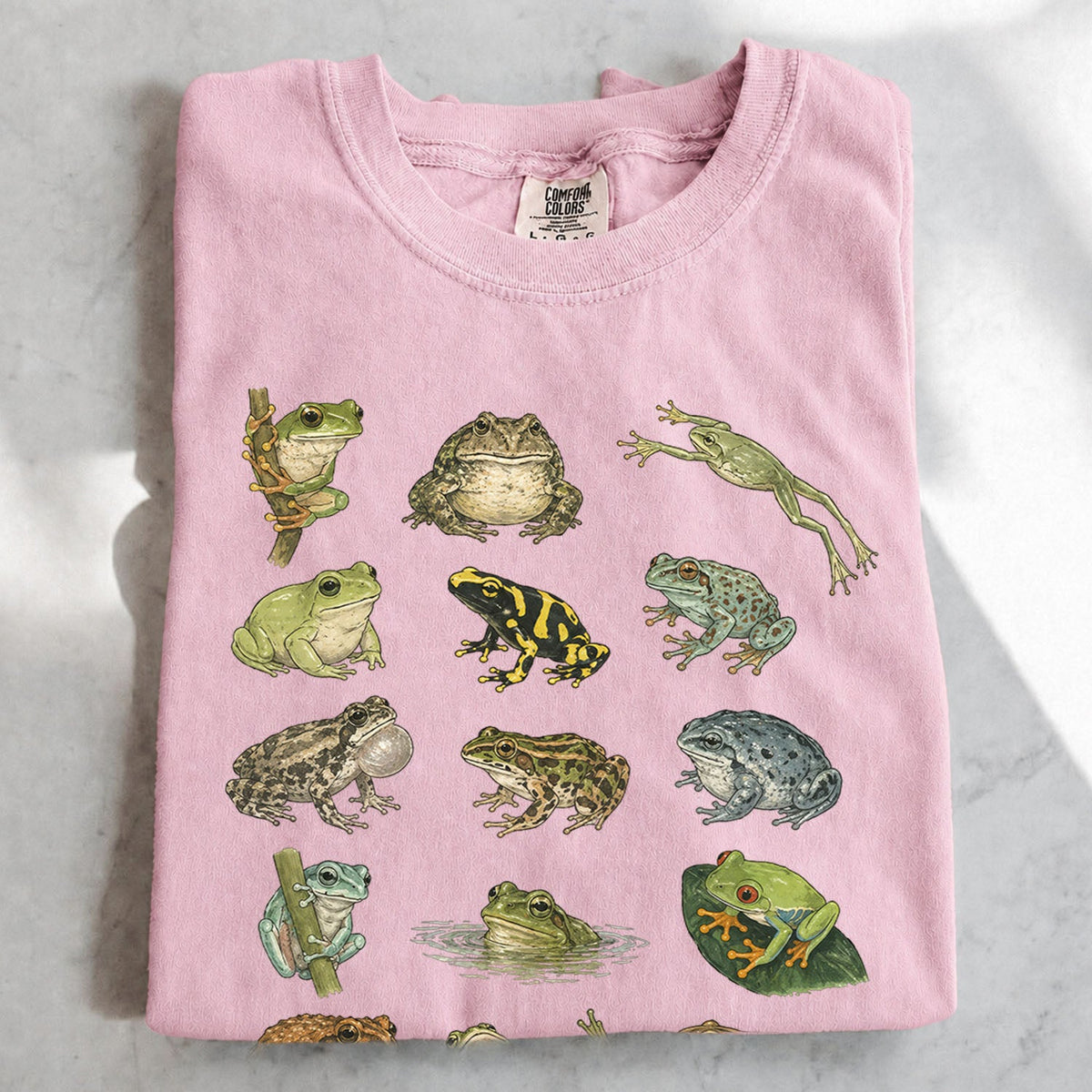 Frog Species Oversized T-Shirt